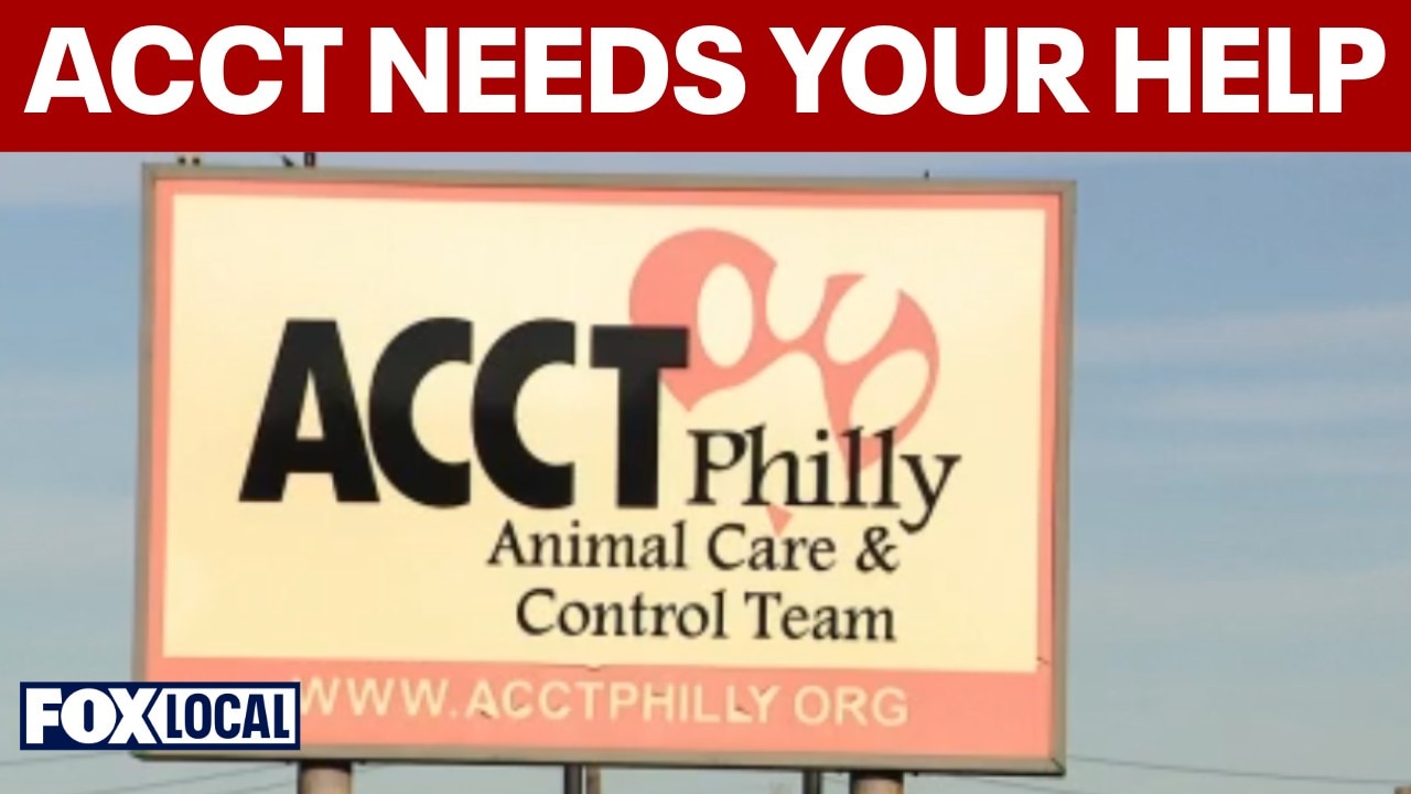 ACCT Philly faces space crisis and offers cash incentives to foster large dogs