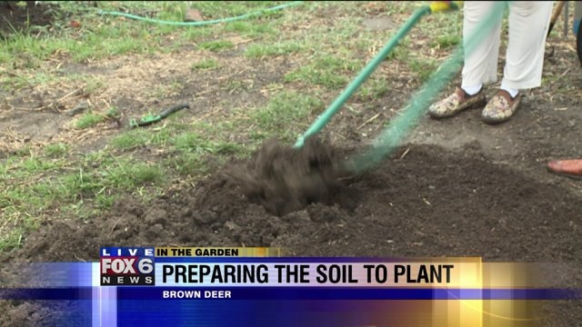 Preparing the soil to plant