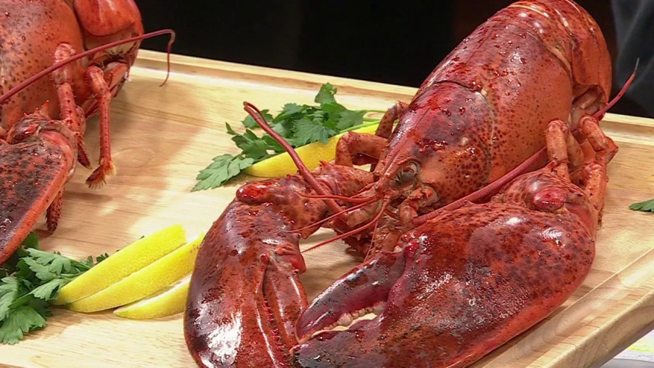 Summer lobster done right. A conversation about getting a sustainable lobster on your dinner table.