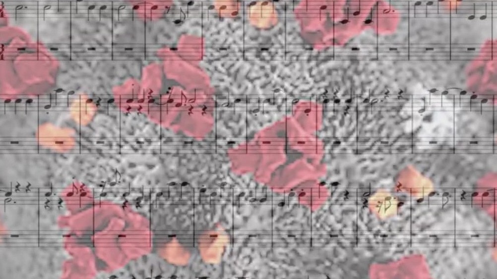 Austin 8th grader discovers the ?music? of COVID-19