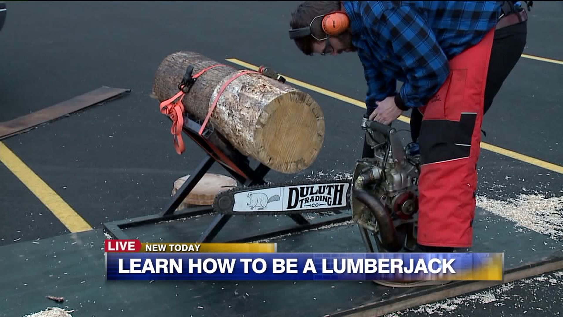 Chainsaw details