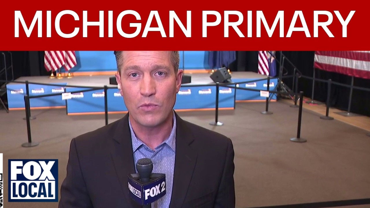 Michigan primary: Senate race gauge for future of Democratic party? 