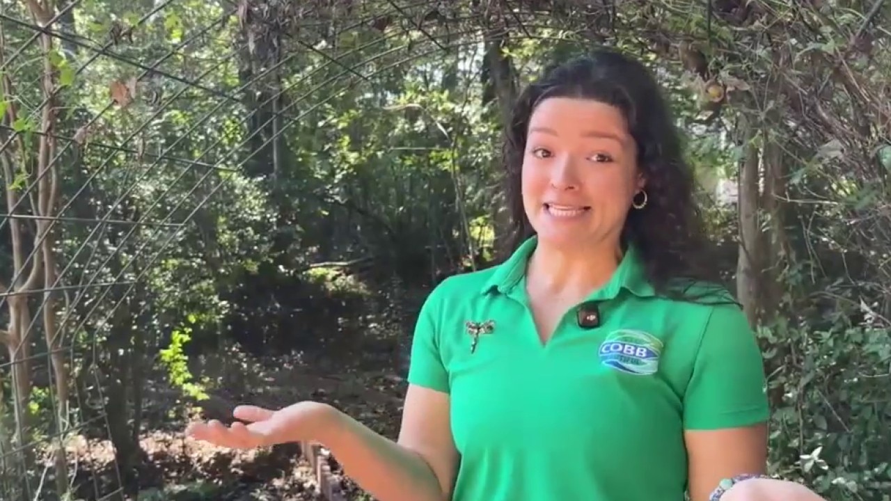 Church flips campus space into wild life 'haven'