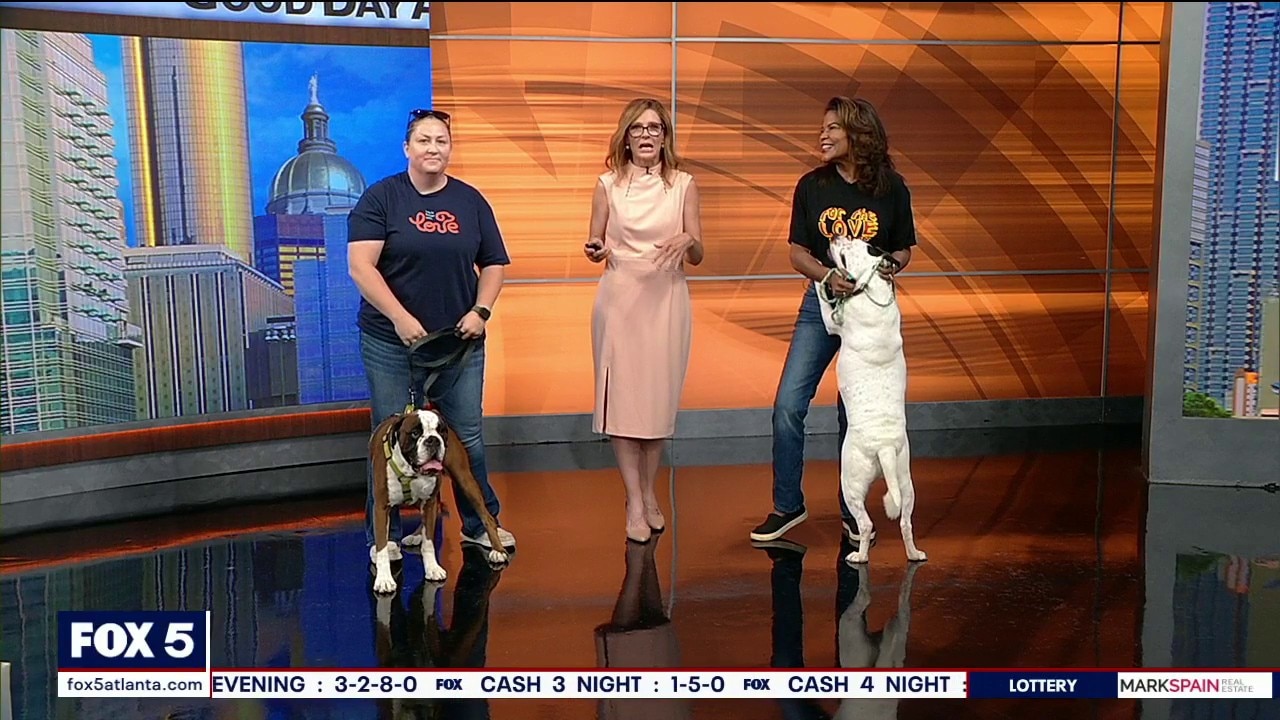 Pet of the day: Bo & Blanco