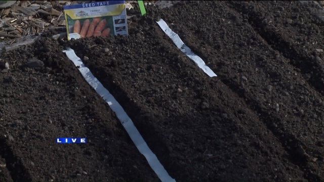 Planting can begin this week: Need a few tips for making it easy?