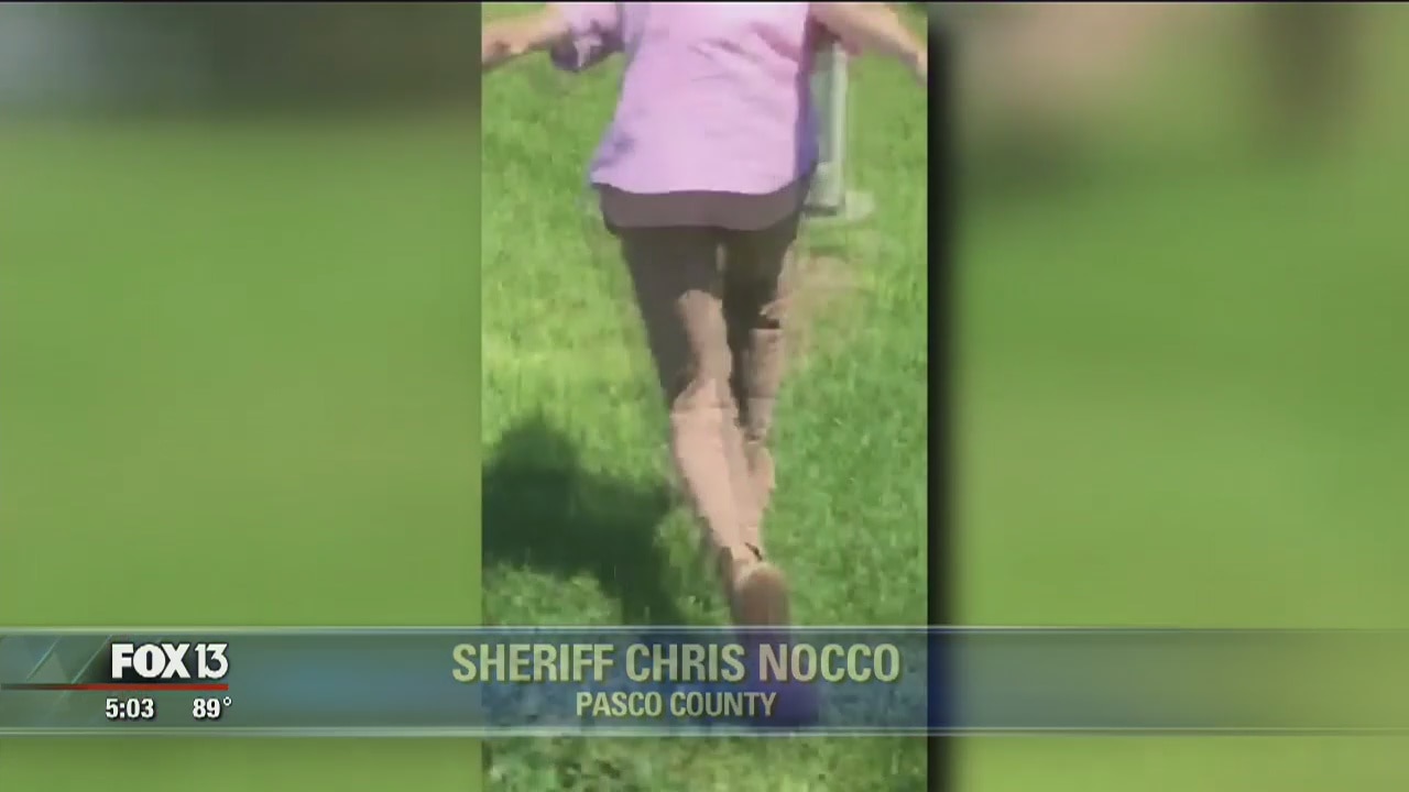 Pasco 18-year-old charged; little girl terrified