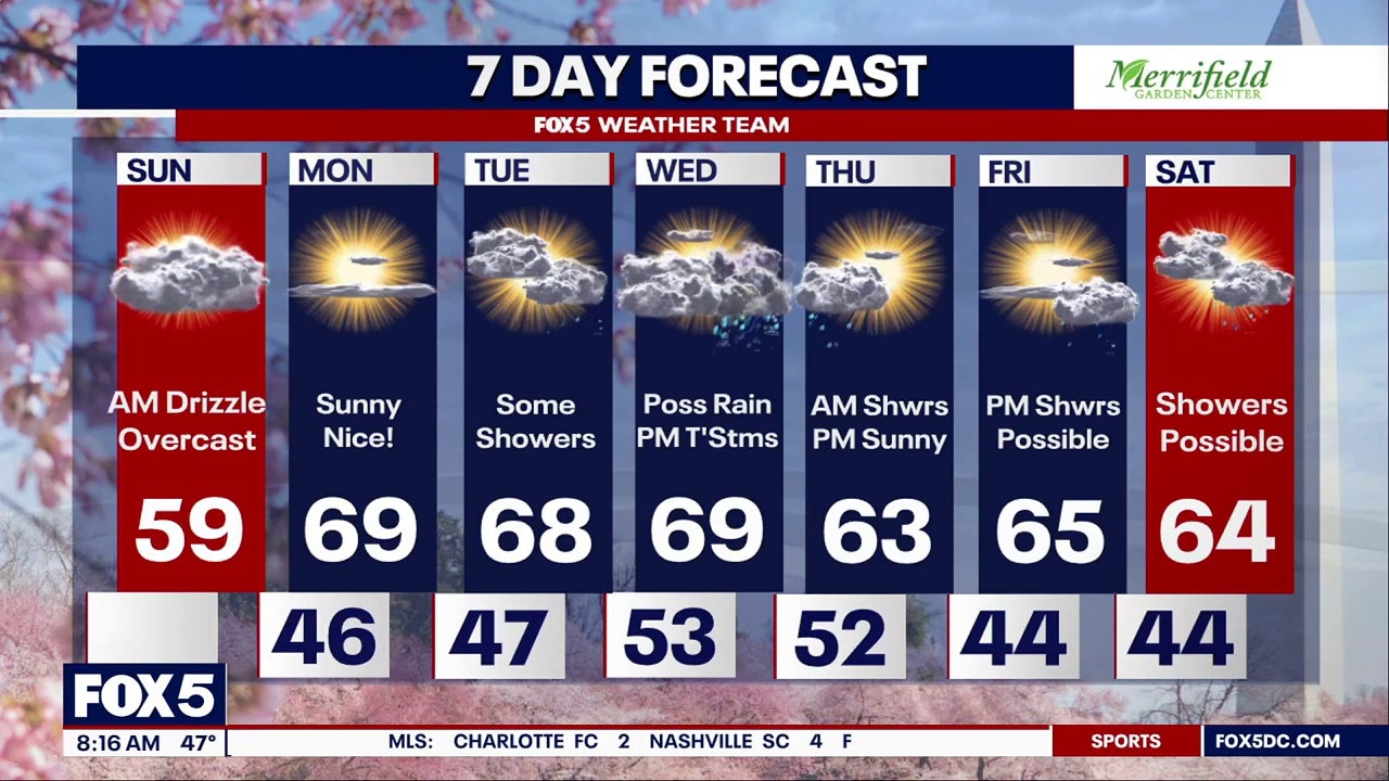 DC weather: Sunday morning forecast
