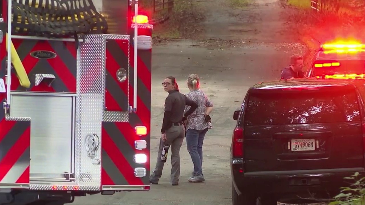 Plane crashes into trees in Dawson County; 2 hurt 