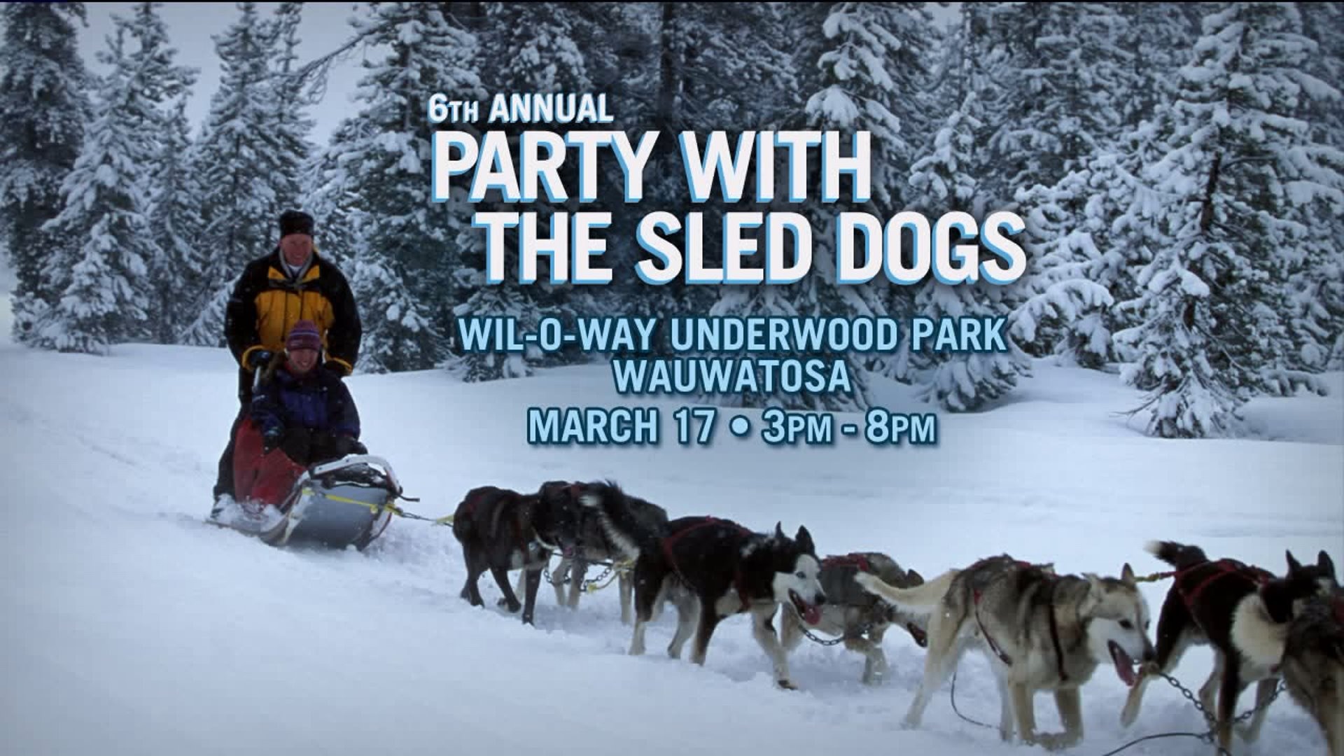 Party With The Sled Dogs