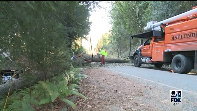 Bainbridge Island power outages