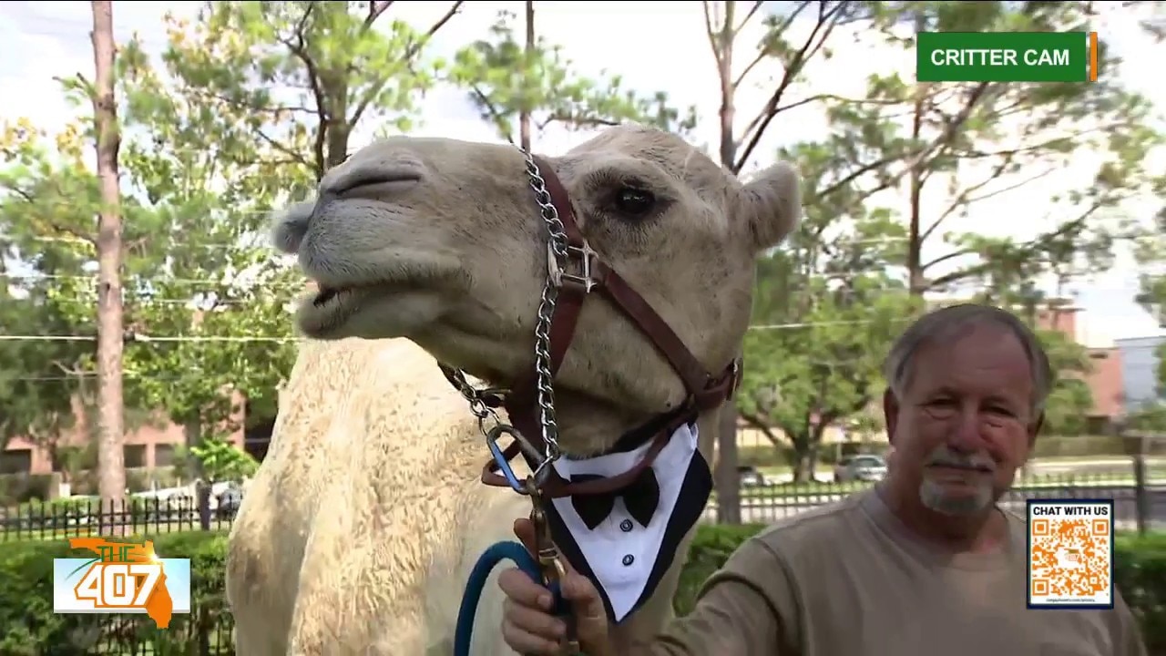 See "That Animal Guy" and wild animals at Florida Kids Expo this weekend