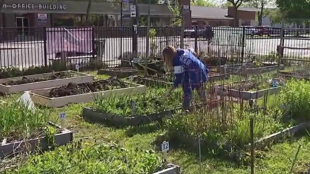NeighborSpace brings green space to Chicago