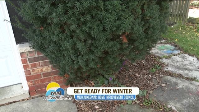Preparing plants, shrubs for the colder weather