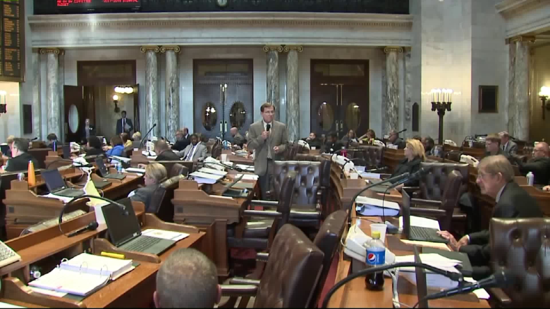State budget hearing
