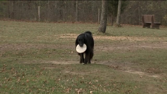 Kramp learns about the types of dogs allowed at the exercise park