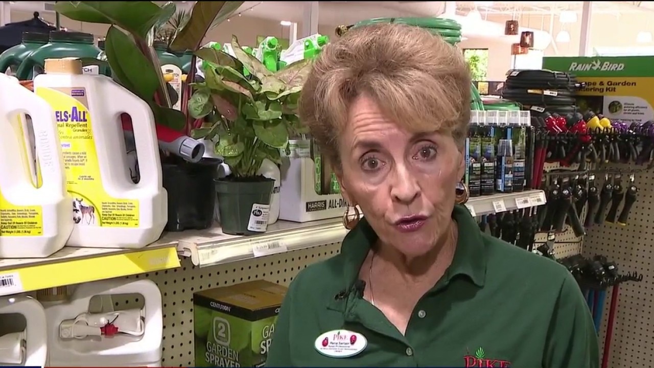 Pike Nurseries gives garden solutions for pests