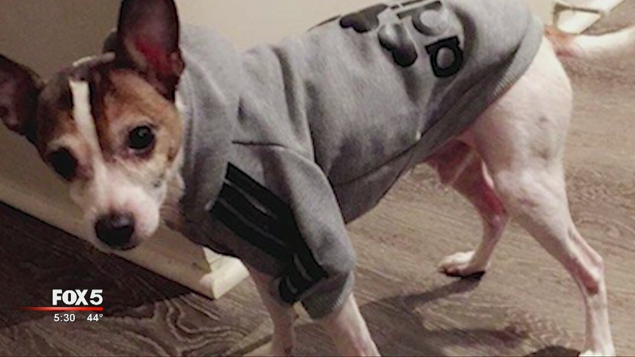 Car stolen with dog inside
