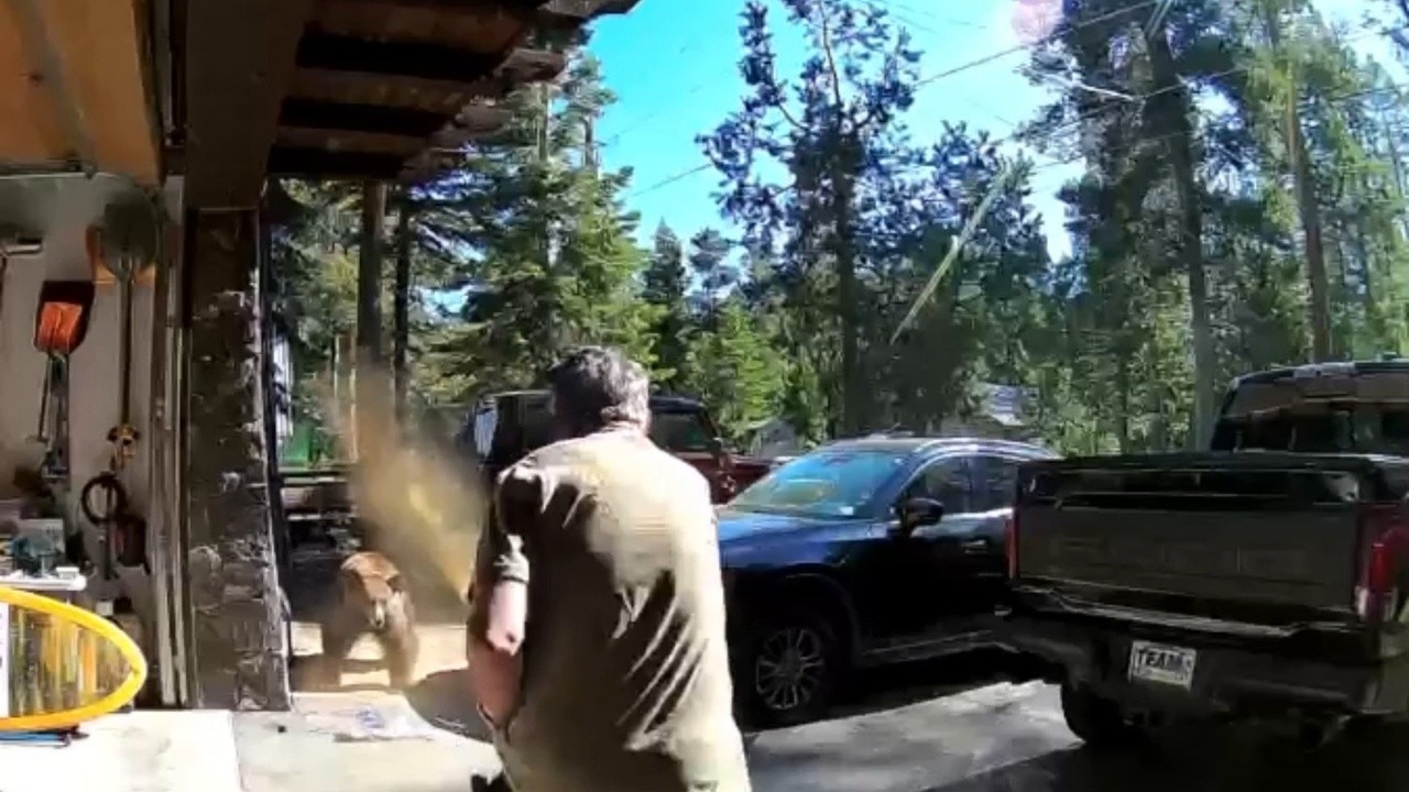 Lake Tahoe man sprays repellent at charging bear