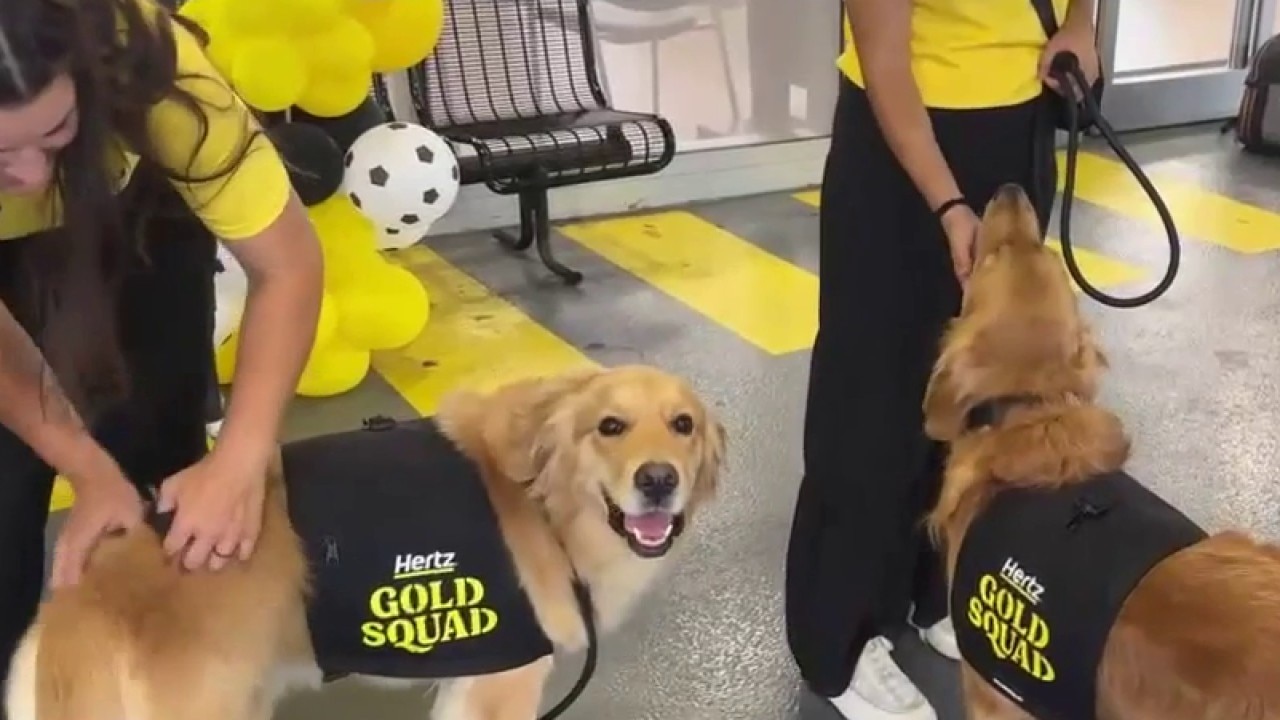 Therapy dogs greet World Cup travelers at ATL