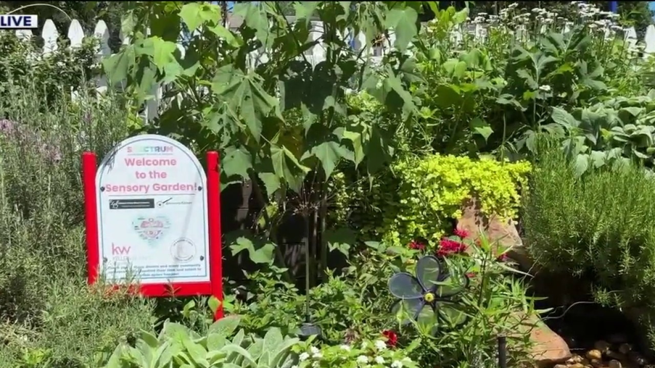 Spectrum Autism unveils sensory therapy garden