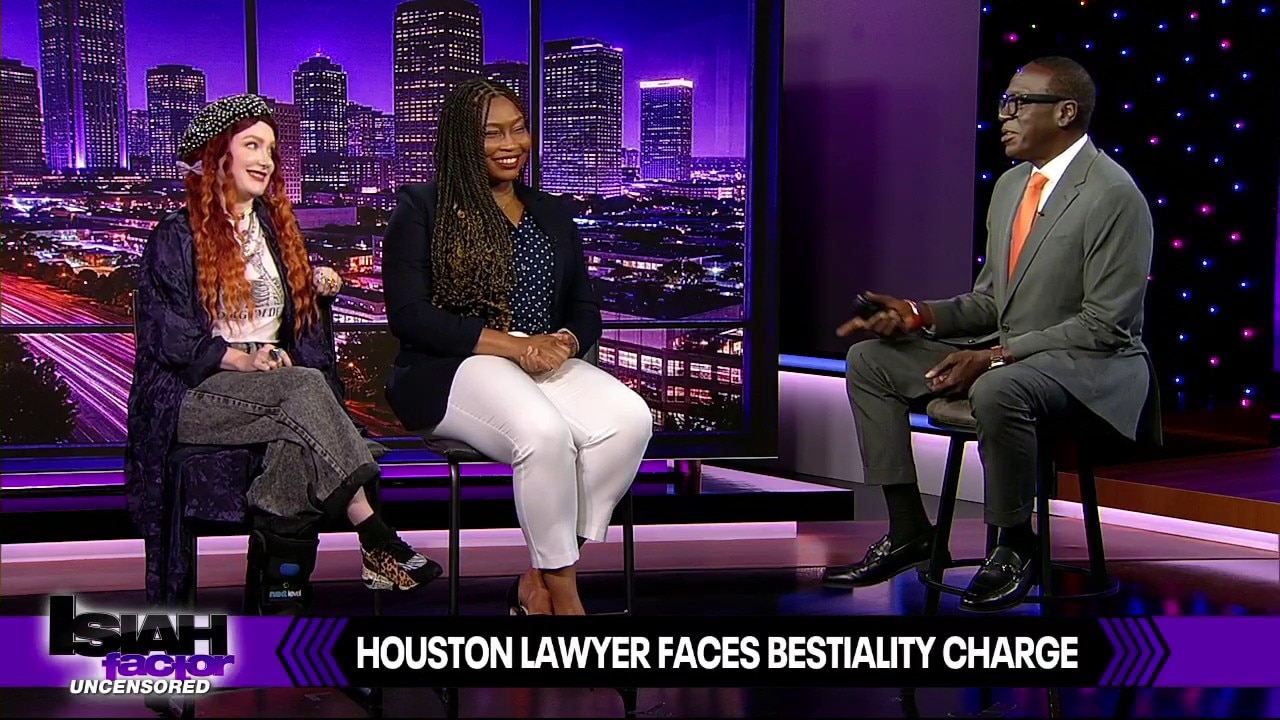 Houston Attorney Arrested Over Alleged Abuse of Family Dog Captured on Home Security Video