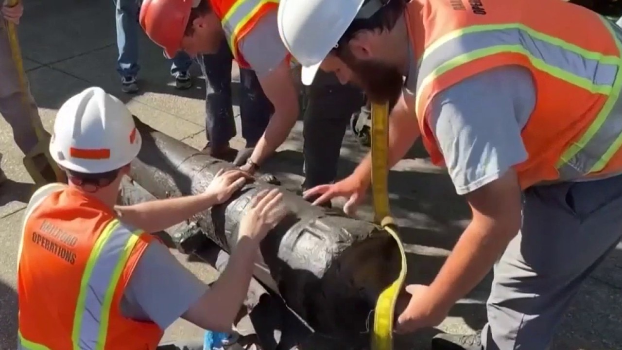 17 American Revolution cannons recovered, displayed in Savannah