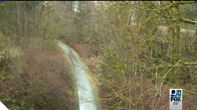 Olympia woodland attack