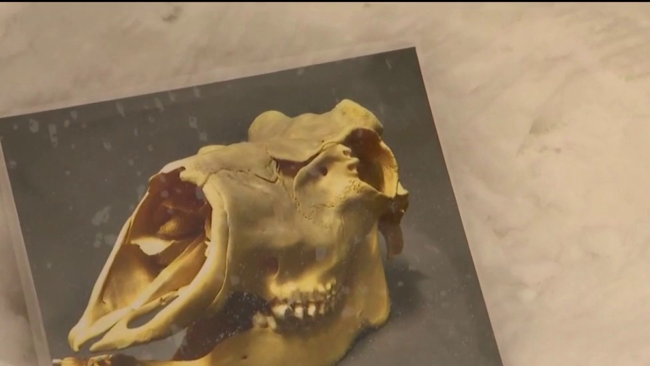 Sculpting snow into art