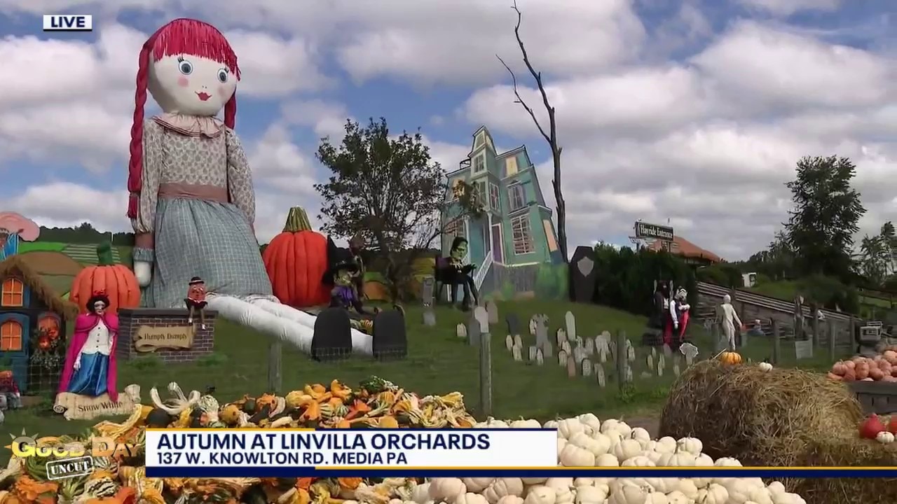 Good Day Uncut: Autumn at Linvilla 