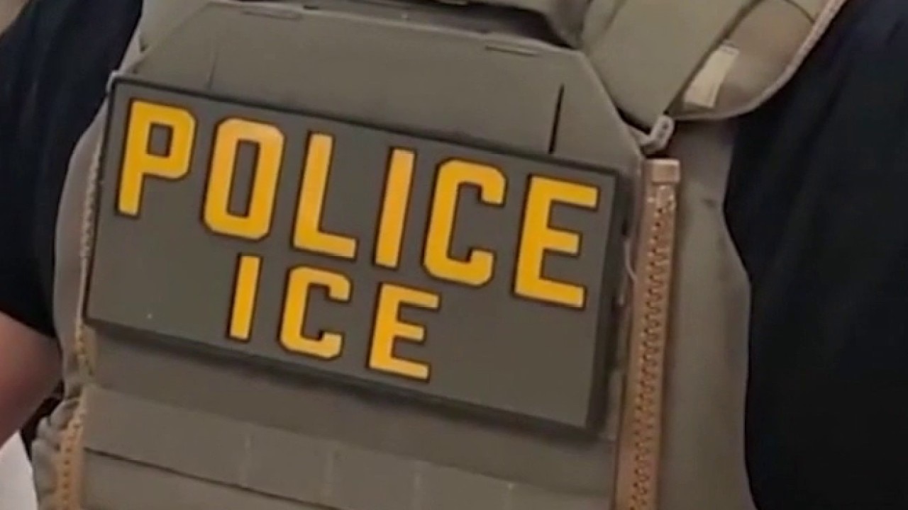 ICE agents deployed at several U.S. airports 