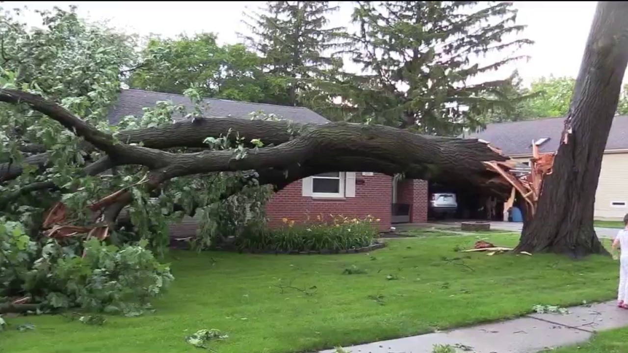 See the damage storms left behind across Chicagoland