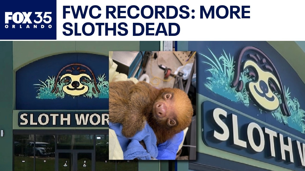 Sloth World animal death count increases, FWC reports show