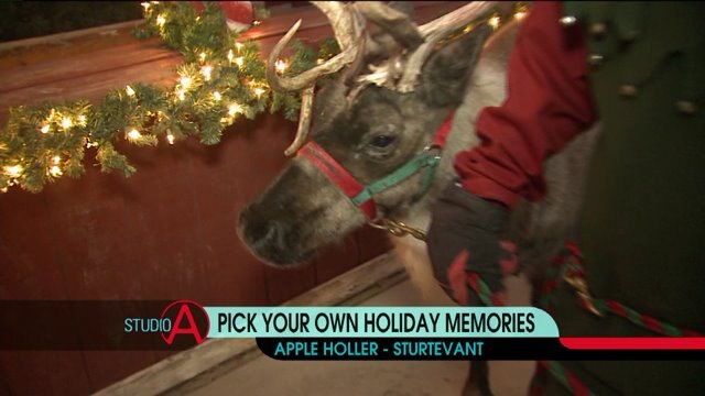 Pick your own holiday memories at Apple Holler