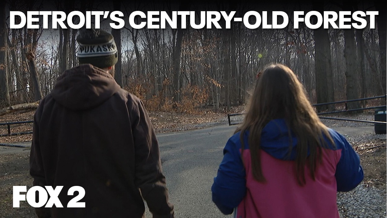 Inside Detroit's Old-Growth Forest | Brother Nature