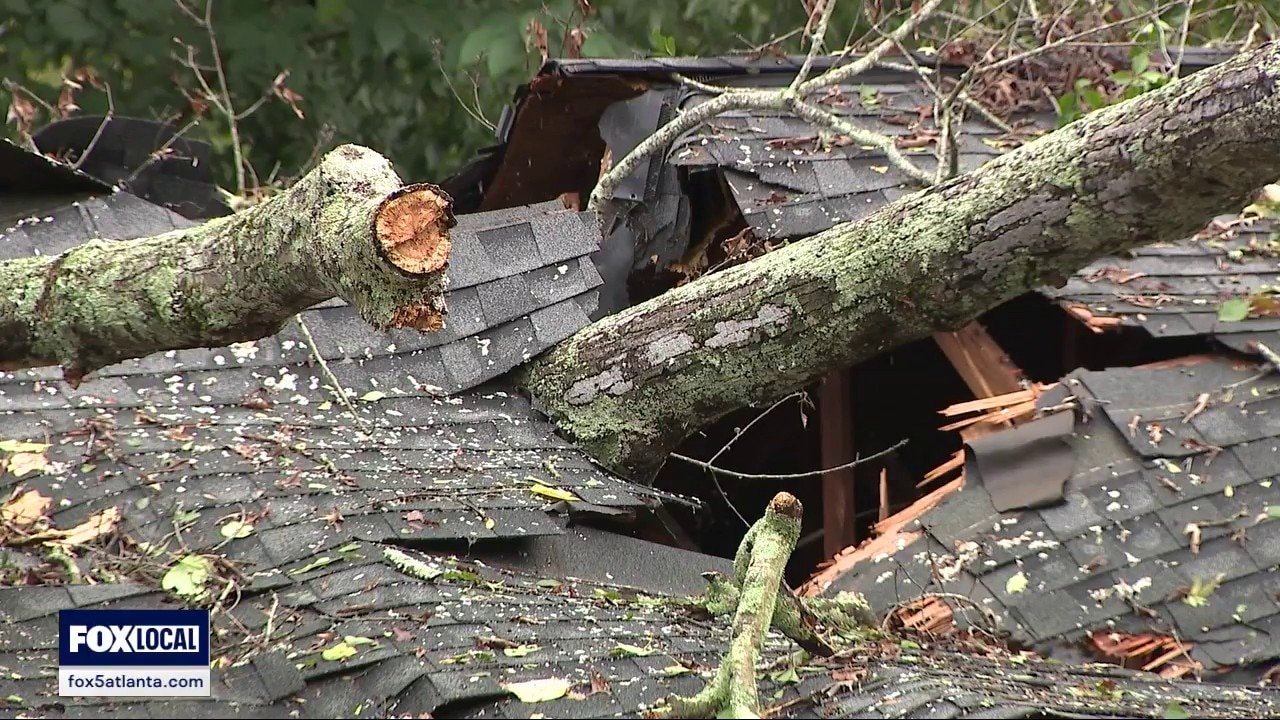 Atlanta residents clean up after storms bring down trees