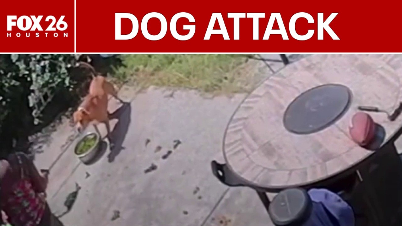 Pregnant Houston-area woman says dogs attacked her pet