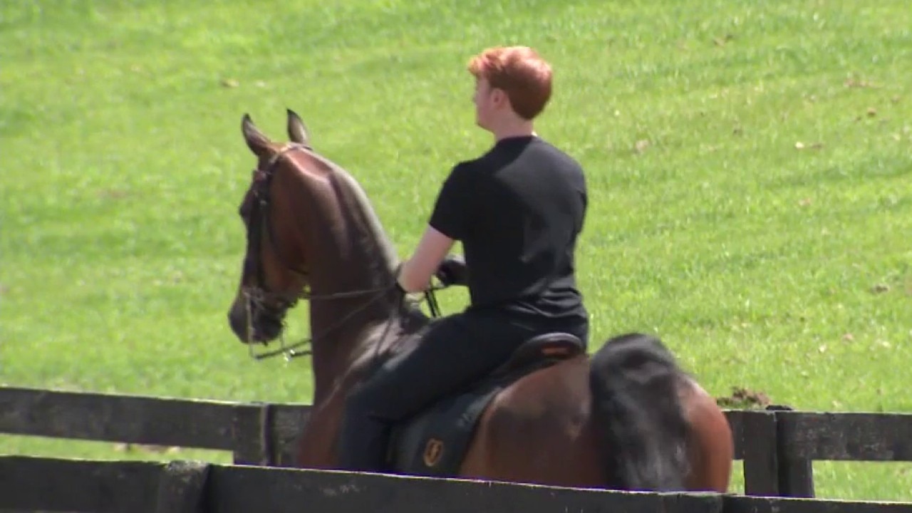 Delafield rider in Saddle Seat World Cup