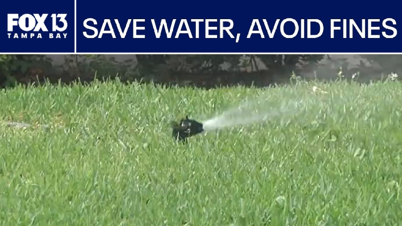 Tampa cracks down as drought conditions continue