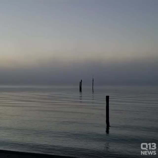 Timelapse of ferry emerging from fog