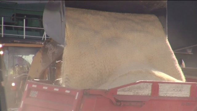 Road salt situation: Supplies are down, conservation is the name of the game