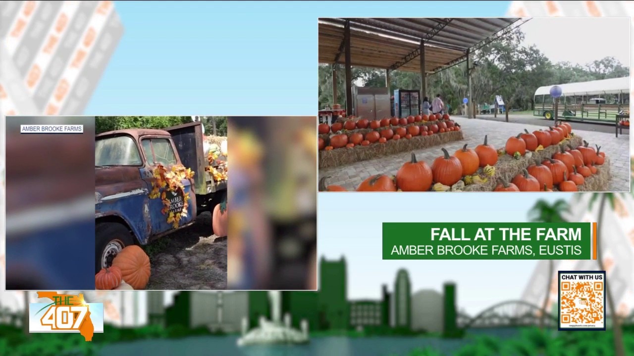 Fall fun arrives at Amber Brooke Farms: What to expect for festival season