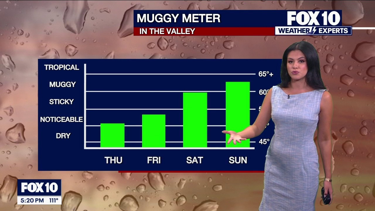 Cloudy skies could bring overnight showers