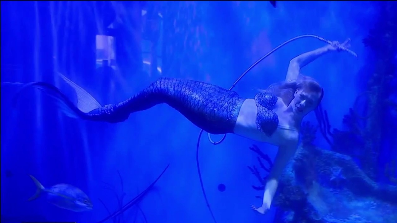 Making Mermaid Tails in Lecanto