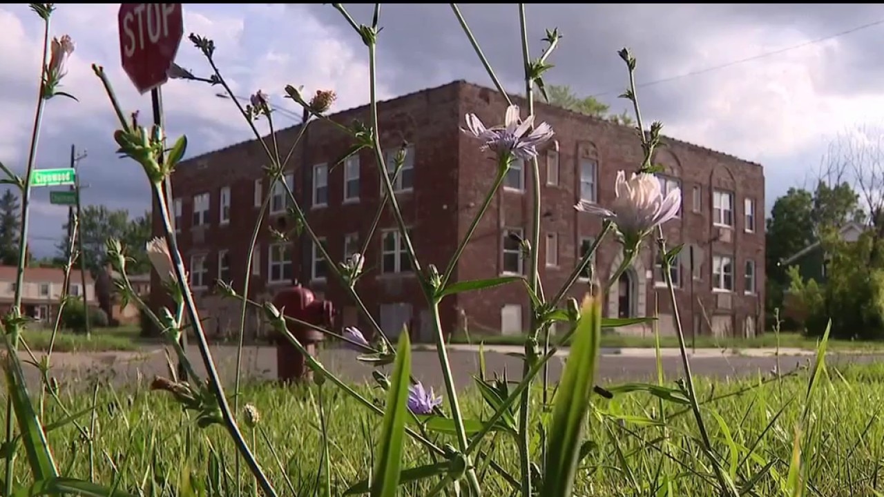 Baby unharmed after Detroit carjacking, police looking for suspect