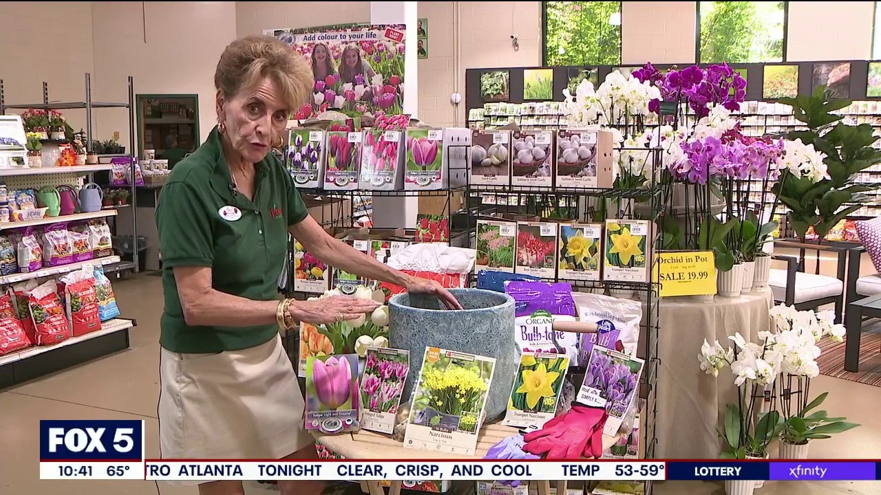 Pike Nursery is helping you plan your garden for the Spring now