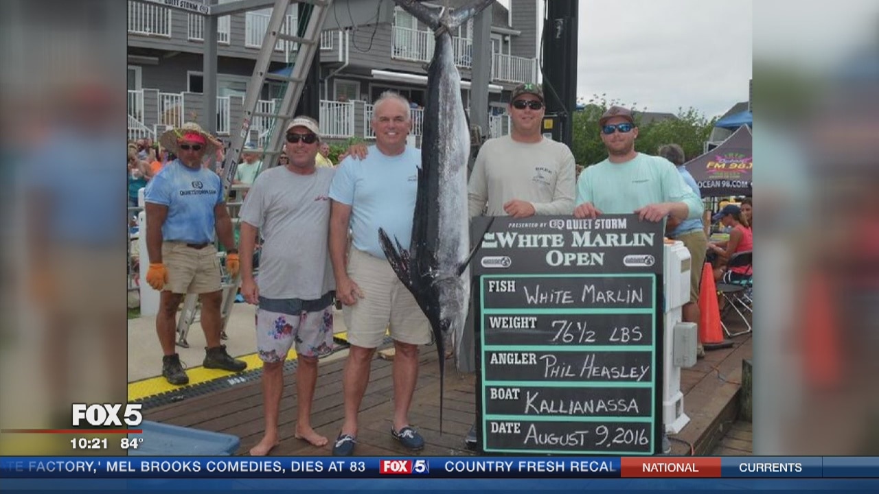 $2.8M prize-winning catch at White Marlin Open disputed after winner fails polygraph test
