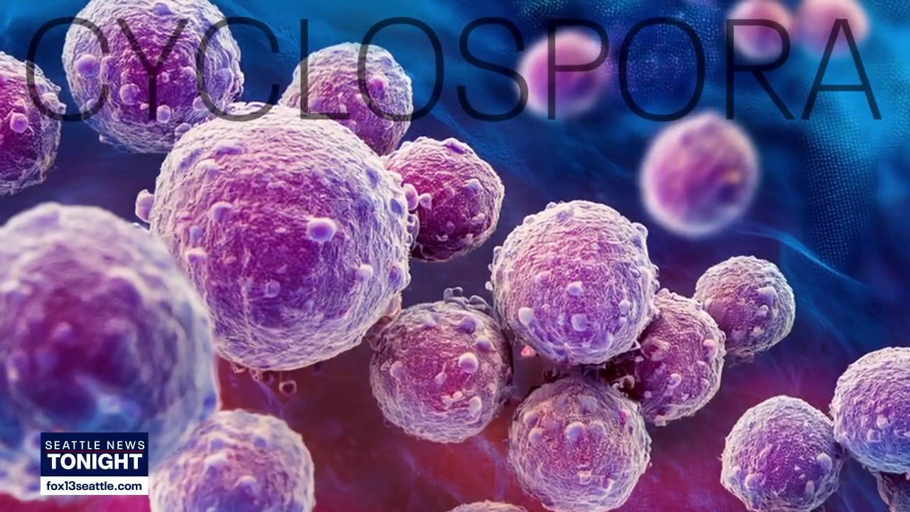 Where Washington stands as the cyclosporiasis outbreak surges
