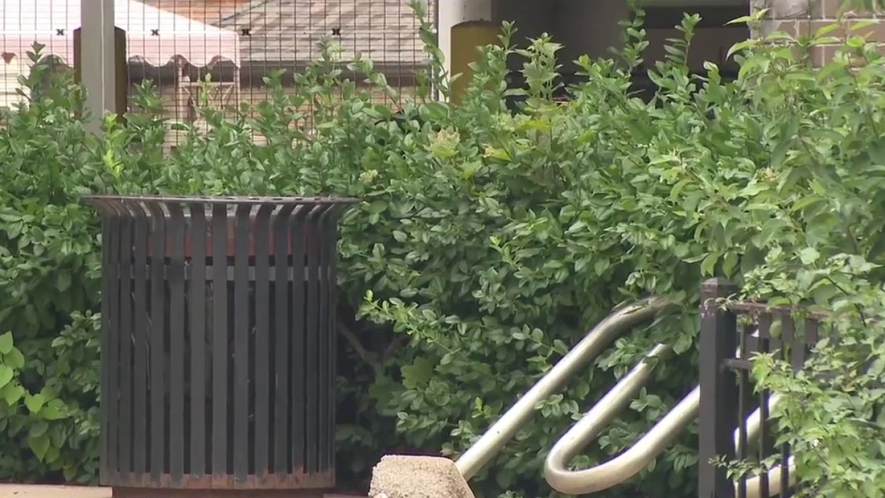Rats, weeds and unanswered calls: Chicago police station faces growing pest problem