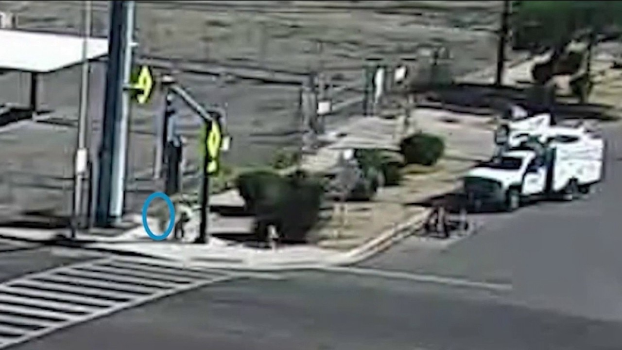 APS worker saves toddler on the run