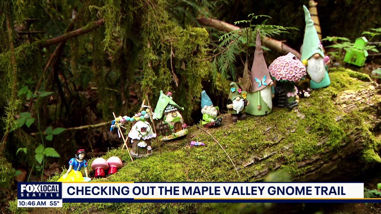 Zip Trips: Strolling through Maple Valley's iconic Gnome Trail